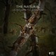 The Adventure Les Papillons Single