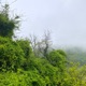 Rain Over the Mountain Green Single