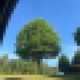 Flora EP