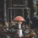 Feelings Single