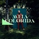 Meia Colorida Single