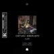 Cintura Ignorante feat Marral Tonny Vincent Richely Single