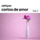 Cortos de Amor Vol 1