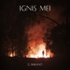 Ignis Mei