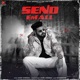 Send Em All Single