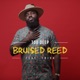 Bruised Reed feat Trish Darko Single
