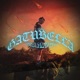 Gatubela Single