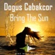 Bring the Sun Single