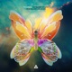 Little Bit of Love feat Rachel Platten Single
