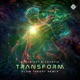 Transform Flow Theory Remix Single