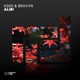 Alibi Single
