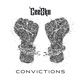 Convictions