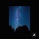 Scintillant Single