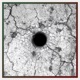 Corpus EP