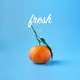 Fresh Single