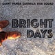 Bright Days
