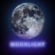 Moonlight