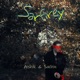 Sarfirey Single