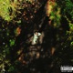 Record EP