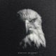 Eagle Eye Single
