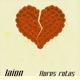 Flores Rotas Single