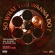 So What You Wanna Do feat Vinnie Paz Single