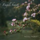 Fragile beauty EP