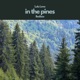 in the pines feat Bedisco Single