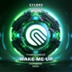 Wake Me Up Remix Single