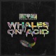 Whales On Acid Single