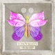 Flores de Avenida feat Andy Stolen Single