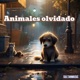 Animales Olvidados Single