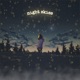 Night Skies Single