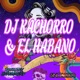 Llego el Habano feat El Habano Rey Mix feat El Habano y Rey Mix Single