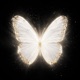 White Butterfly Single