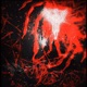SPIDERWEB Single