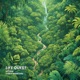 Life Quest feat Carlo Mancuso Single
