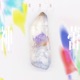 神蕾 シン ライ Single