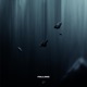 Falling feat Vishisdead Single