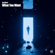 What You Want Single