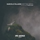 Drifting Birds Single