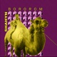 Bororom Single