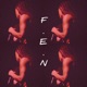 F E N Single