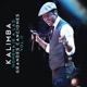 Homenaje a las Grandes Canciones Vol II