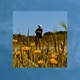 Safety Plan Single