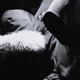 FERIA feat DeadGoeth Single