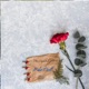 Make It Last Single