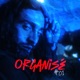 Organisé 01 Single