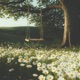 Fragments of Silence