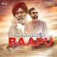 The Blessings of Baapu Single